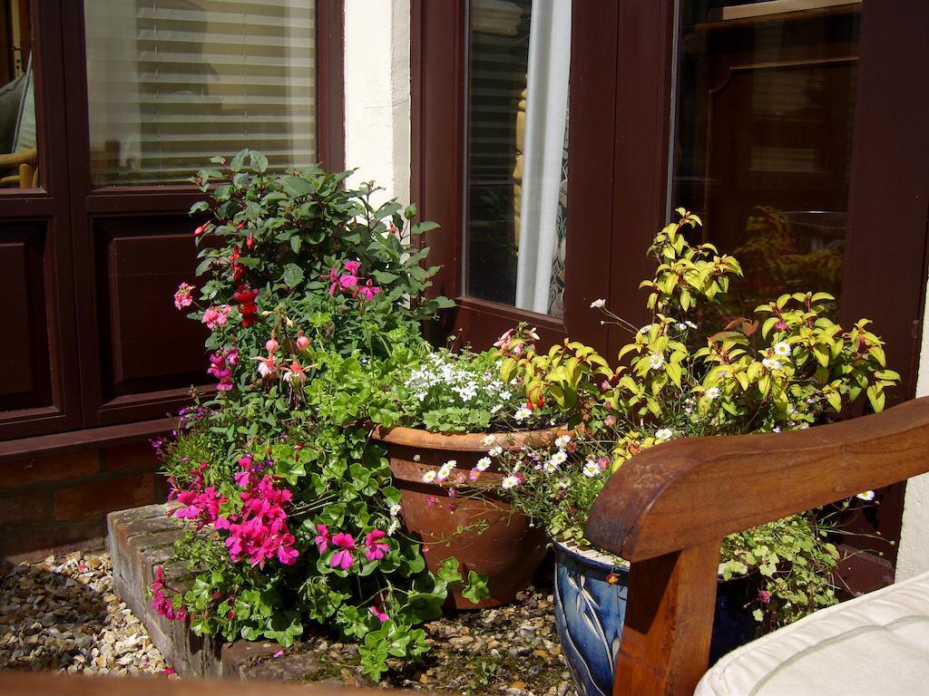 Bed & Breakfast Weston *